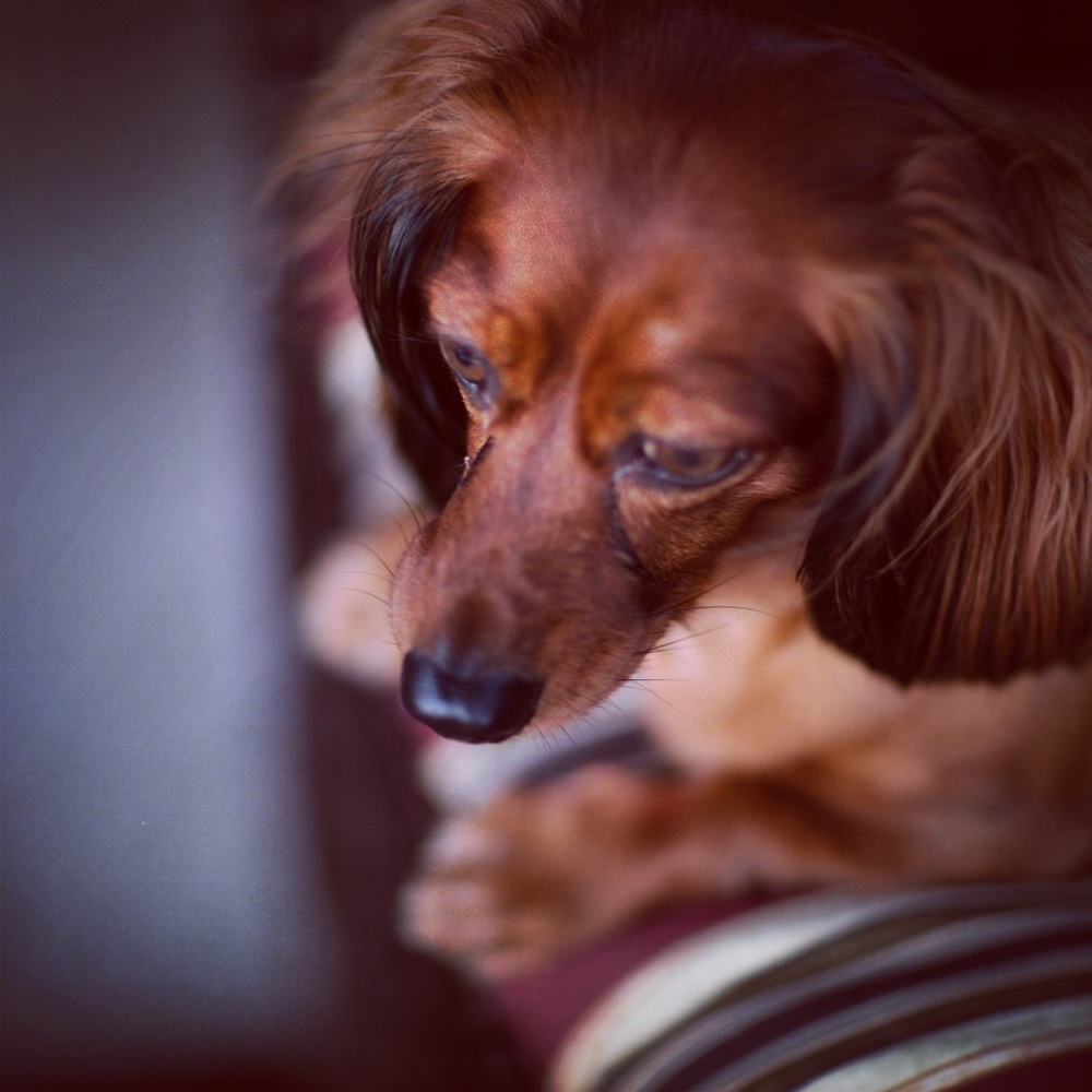 Meet your Posher, Ravi